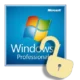 Windows 7 Профессиональная