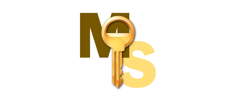 KMSAuto Net